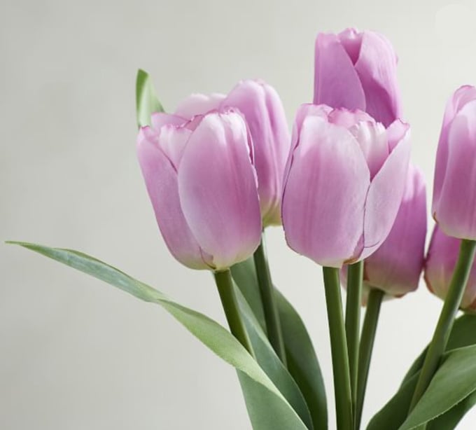 Fake purple tulips from Pottery Barn