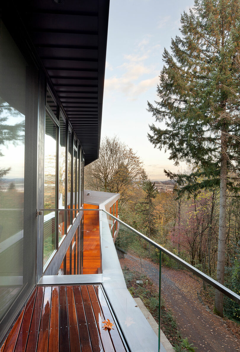 Modern building balcony with wooden flooring, glass railing, overlooking tall trees and a distant landscape under a clear sky.