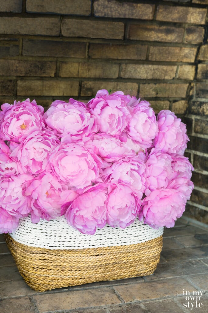 A large white and natural color basket in empty fireplace filled with pink peonies.