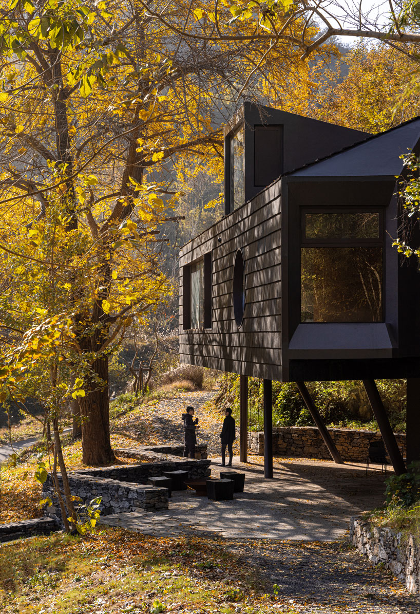 geometric openings pierce elevated treehouse clad in charred cedar planks in hubei