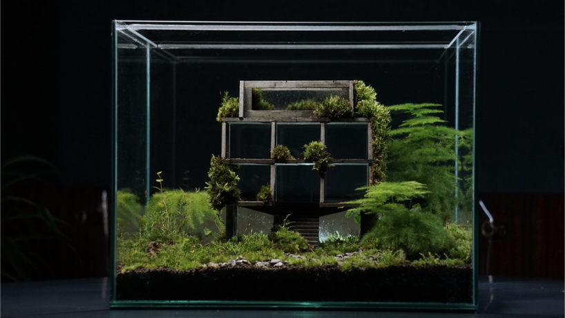 nature grows even on concrete mondobruto turns brutalism into living habitats 1
