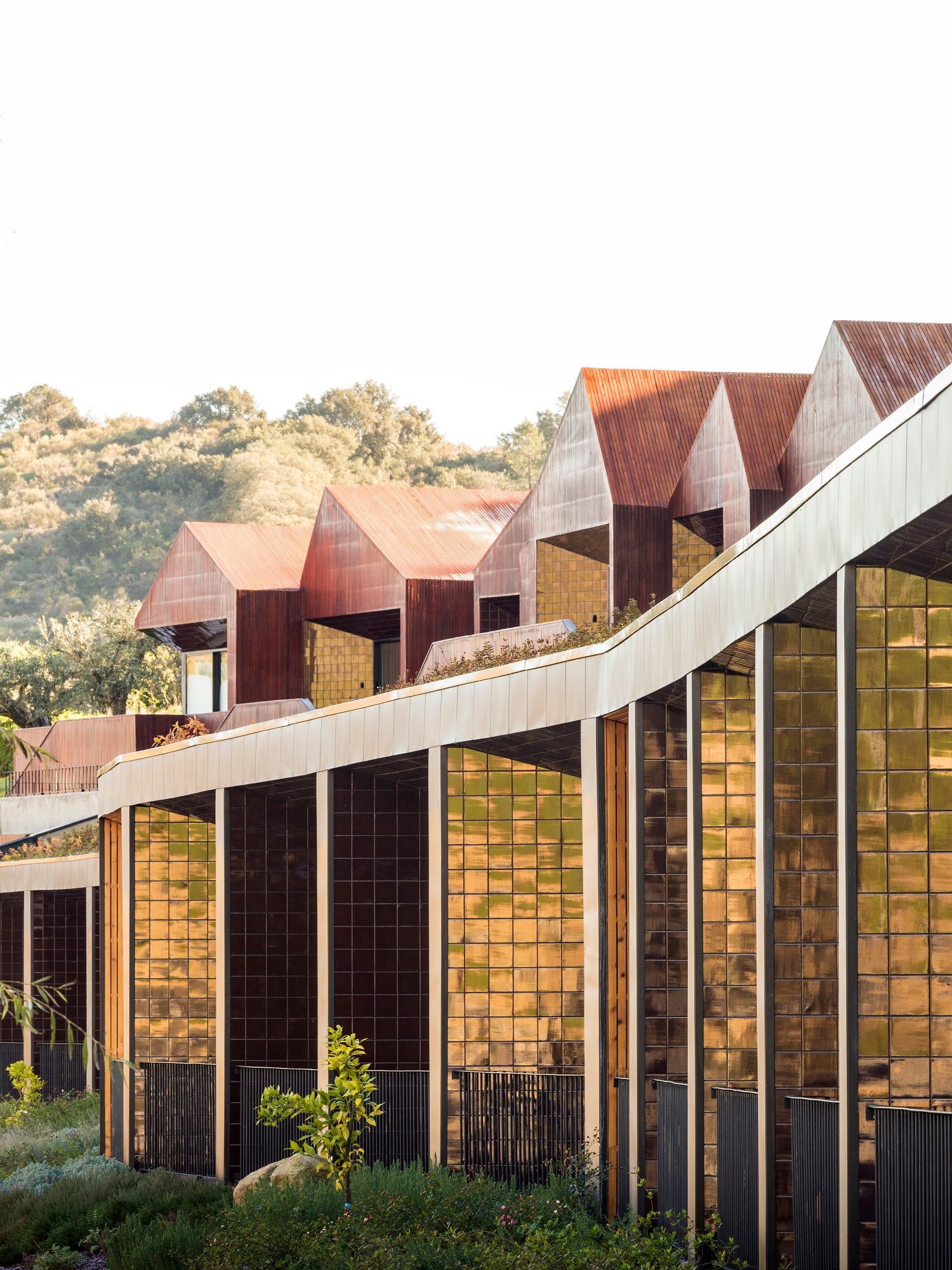 © Rebelo de Andrade