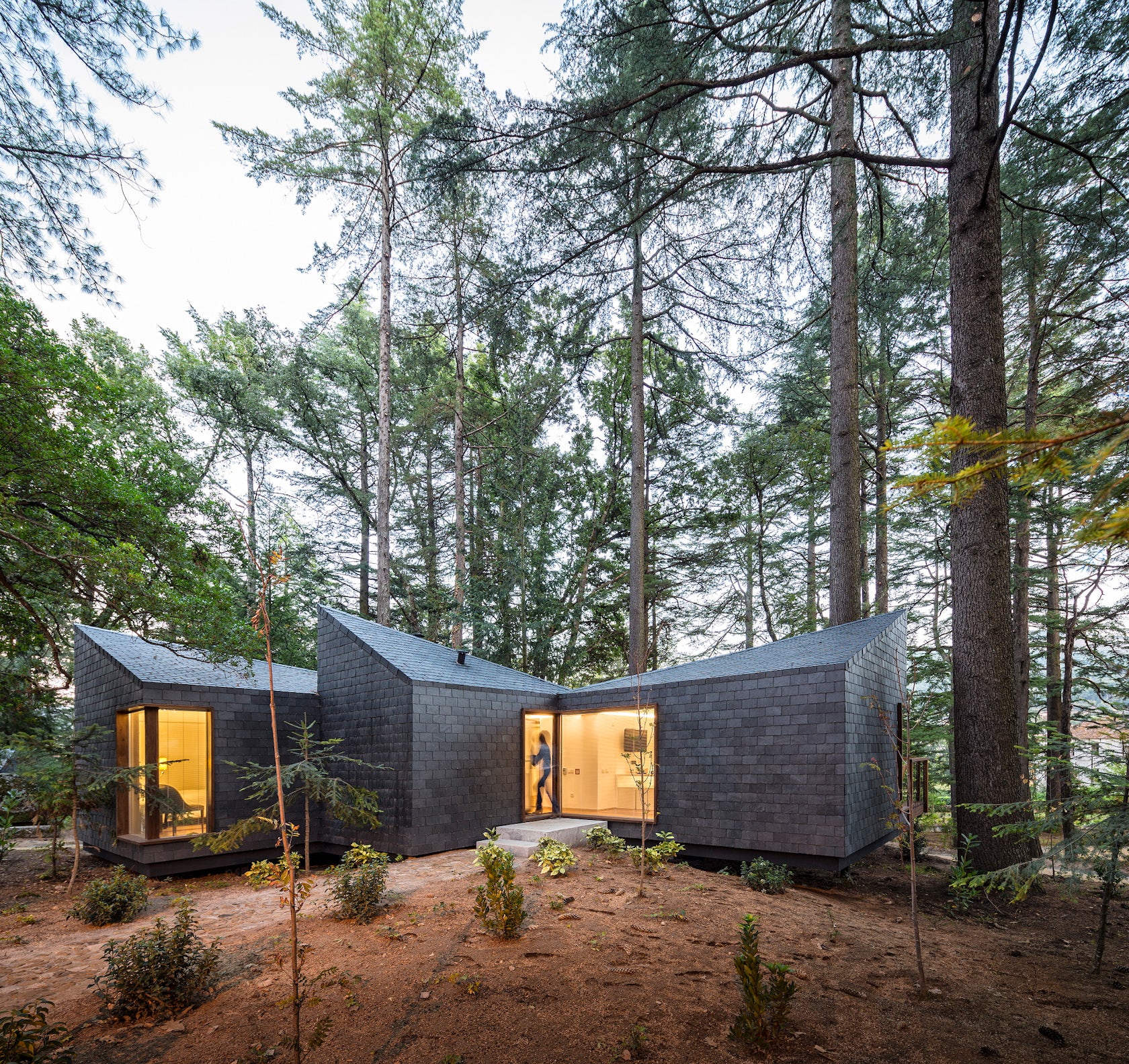 © Luís Rebelo de Andrade