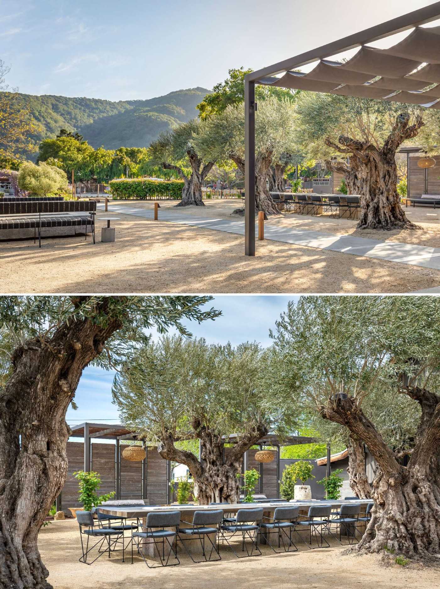 Hewn wood siding wraps the barn’s walls, while a canvas-topped trellis creates a shaded, low-key entrance. Separate group tasting areas feature willow-branch trellises and soft lighting, designed to work as well for late afternoons as they do for golden hour.