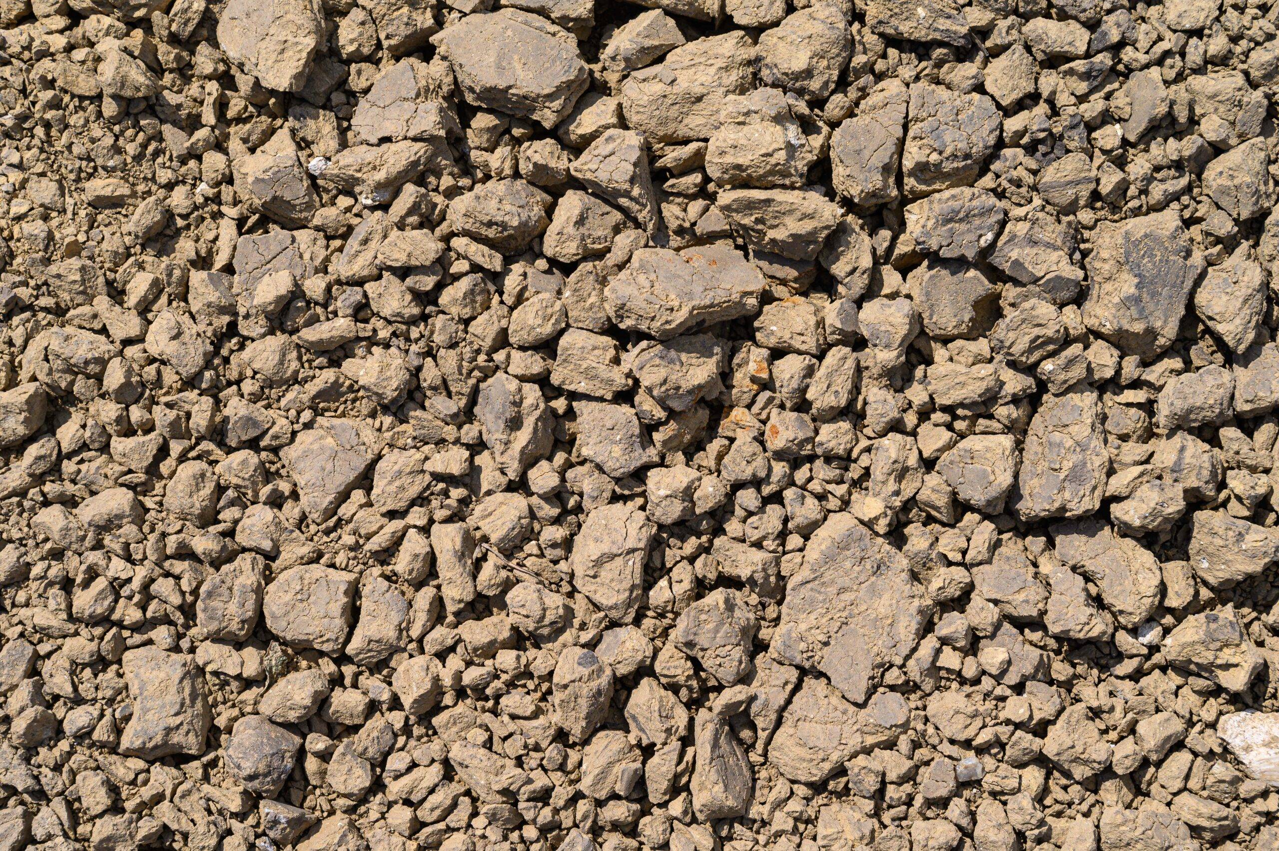 Cracked clay and decomposed granite.