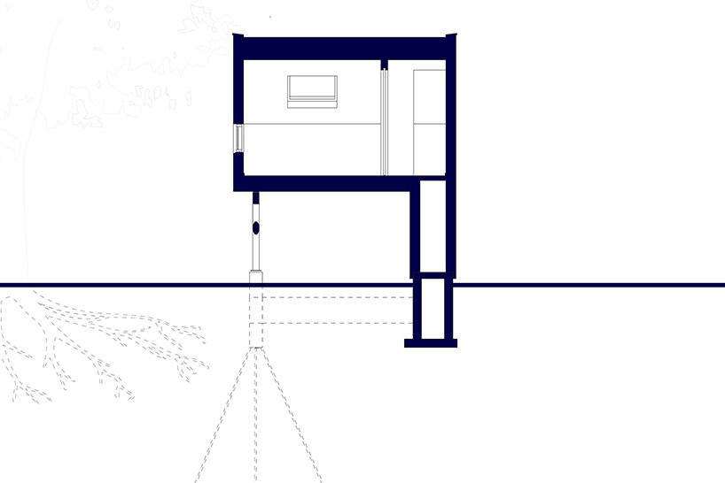 section