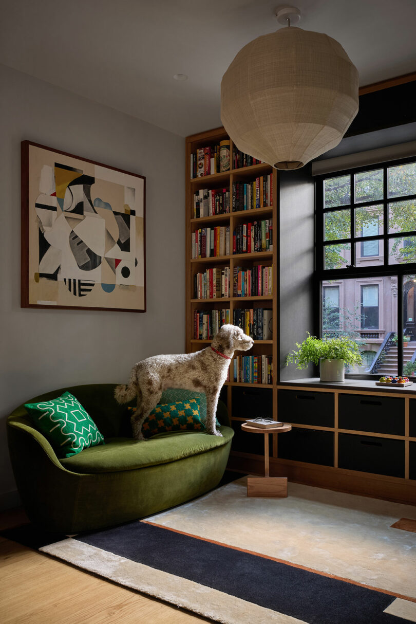 A dog stands on a green sofa in a cozy reading nook with bookshelves, a large window, abstract art, and a round ceiling light.