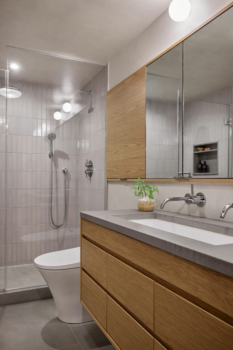 Modern bathroom with wood vanity, gray countertop, large mirror, walk-in glass shower, and a potted plant on the counter.
