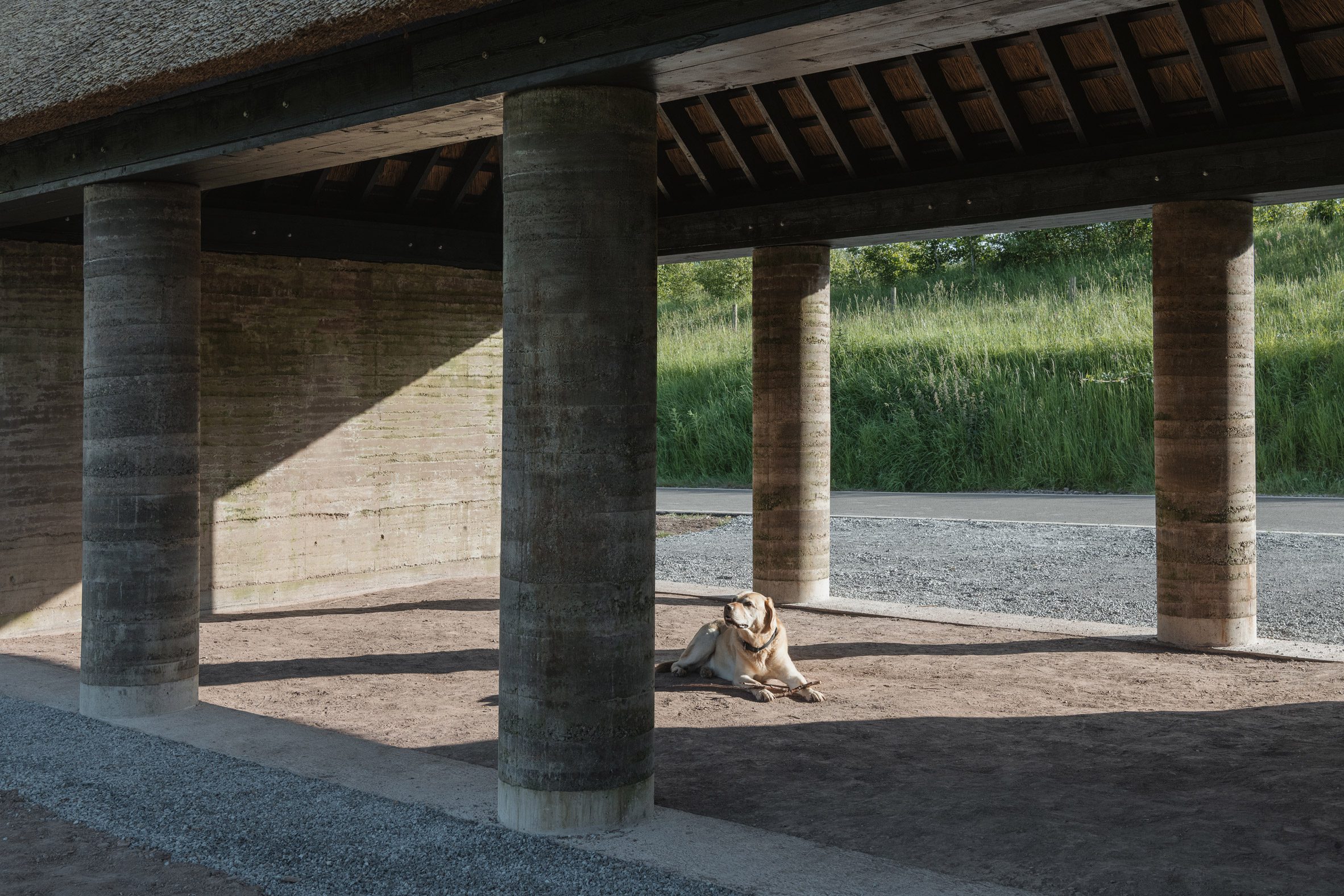 Rammed-earth shelter in Cork