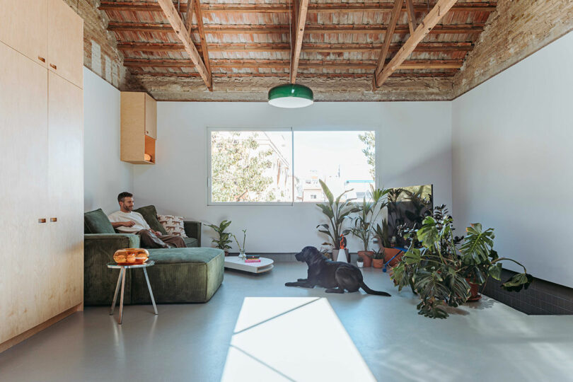 A man sits on a green sofa in a modern living room with exposed wooden beams, large window, several plants, a black dog, and a small table with food.