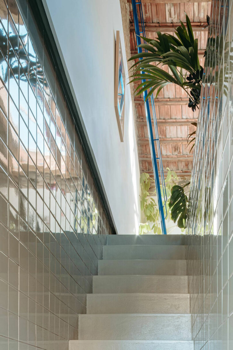 White tiled staircase ascends beside a glossy tiled wall, with green plants and natural light coming from a window above, under a wooden ceiling.