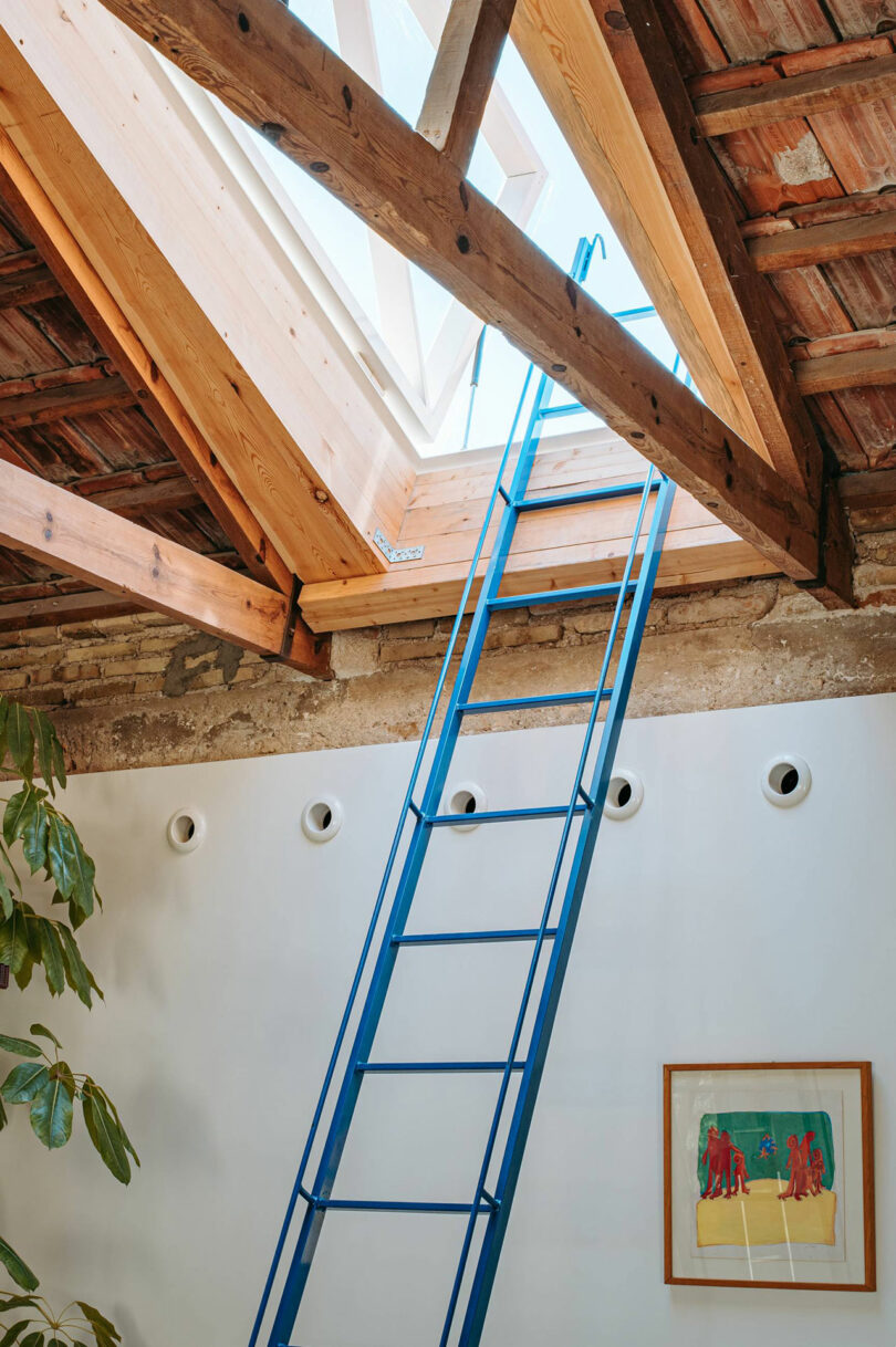 A blue metal ladder leads up to an open skylight in a room with wooden beams, a white wall, a plant, and a framed artwork.