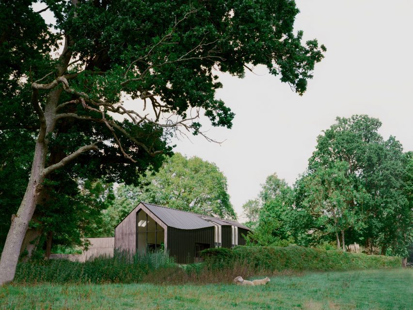 Exterior of Twisted House by Andy Martin Architects
