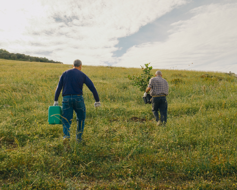 3D printed interlocking bricks compose earthen microclimate shelter for tree saplings
