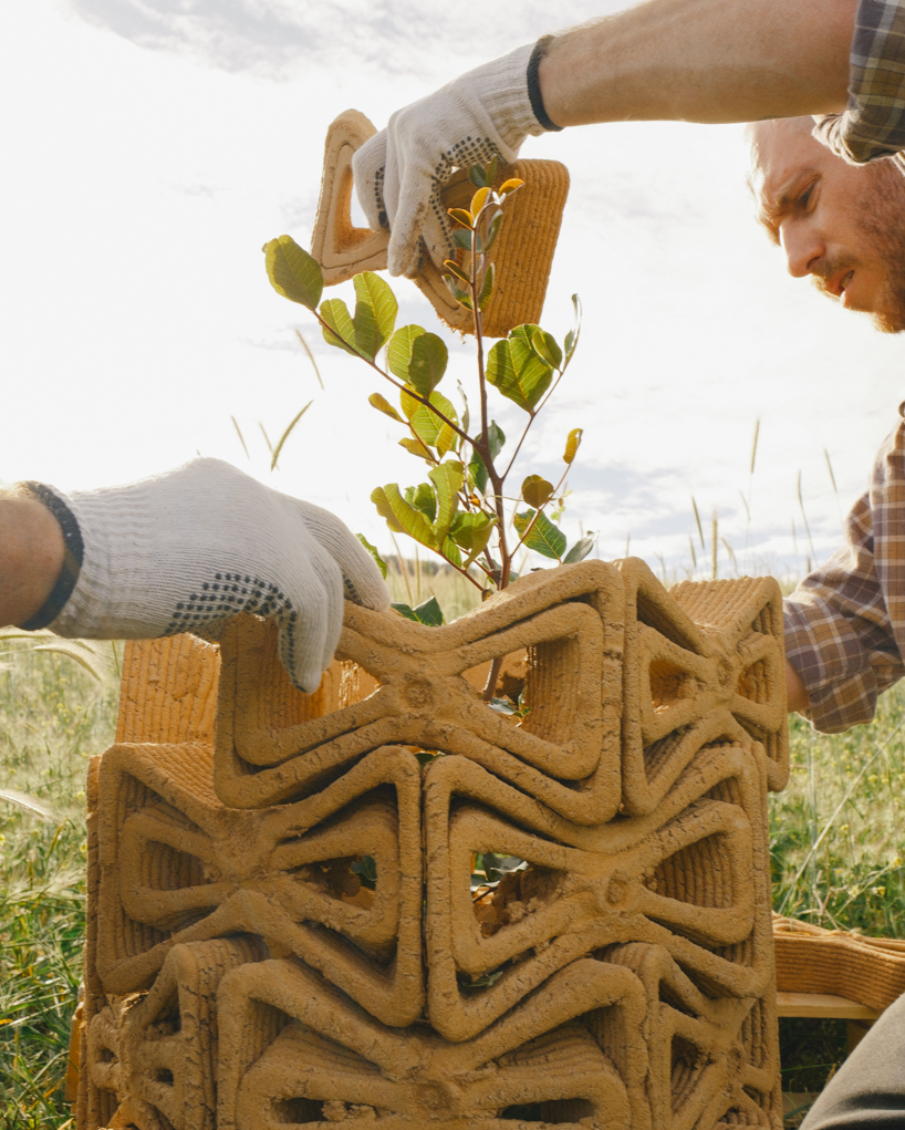 3D printed interlocking bricks compose earthen microclimate shelter for tree saplings