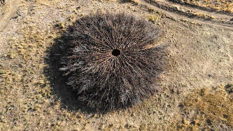 nomad studio's charred juniper ring marks the scar of a wildfire in northern spain