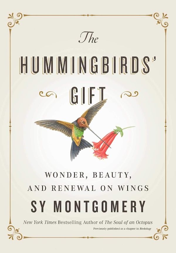 The Hummingbird's Gift
