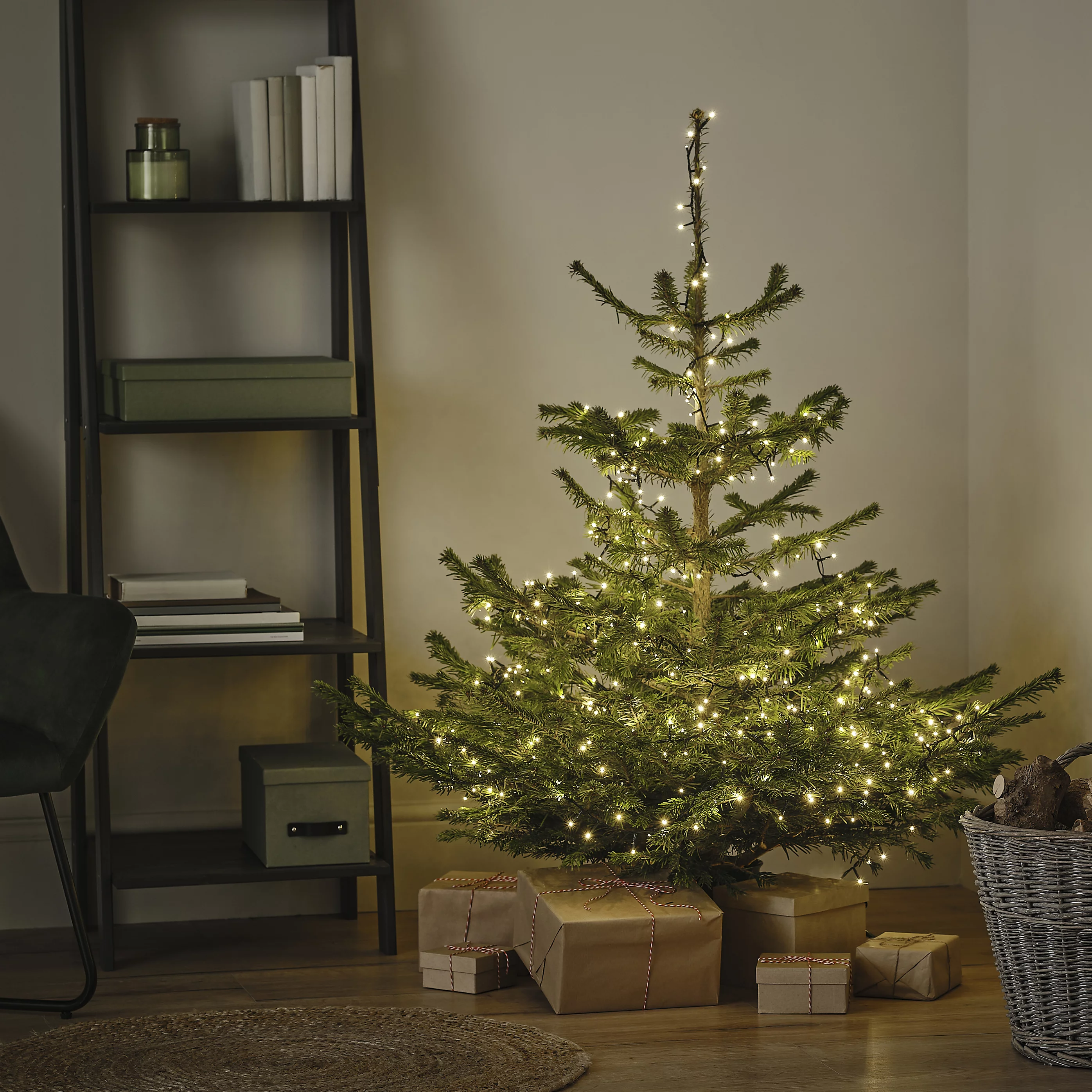 120-150cm 4ft Nordmann fir Small Full Real cut Christmas tree