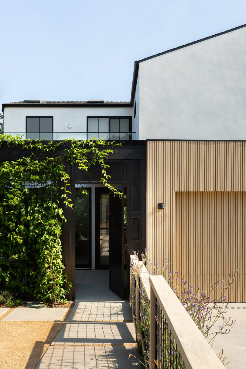 Modern house exterior with light wood paneling, black trim, white stucco walls, and a vine-covered pergola over the entry walkway.